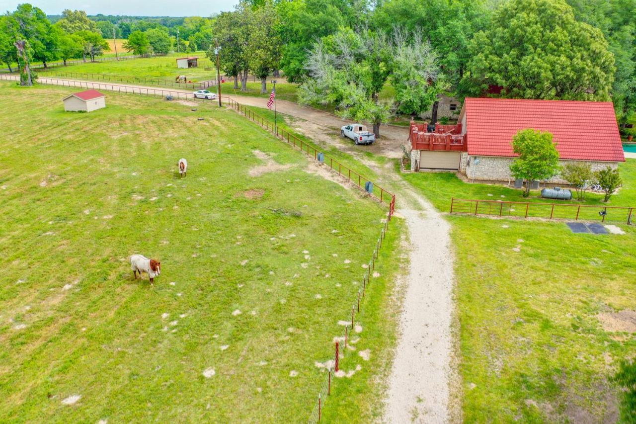 Dog-Friendly Wills Point Home With Grill On 10 Acres Canton Esterno foto